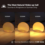 3 In 1 Sunrise White Noise Sound Machine